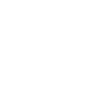 Application Processor