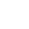 Printer (Optional)