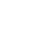Camera (Optional)