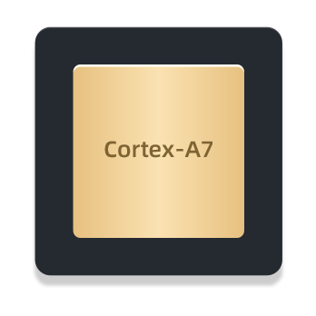 Advanced Processor