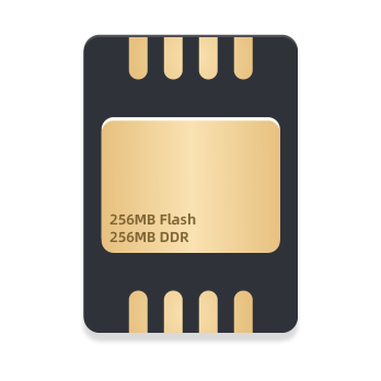 Large Memory