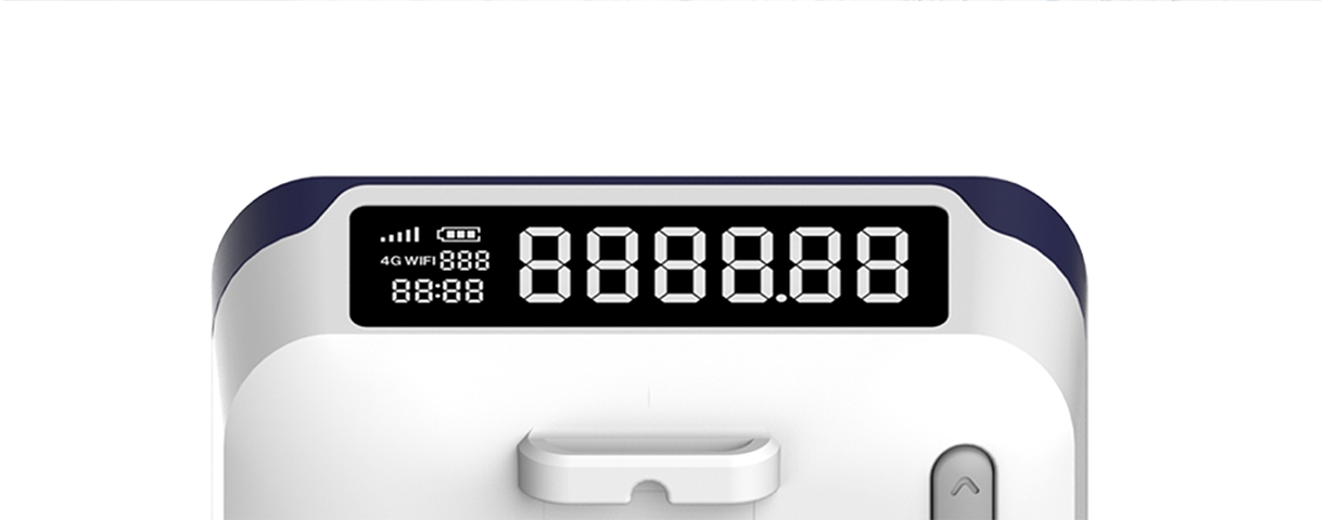 Multifunctional amount display
