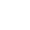 Full authentication of mag stripe, chip and PIN cards as well as mobile wallets.