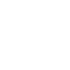 Facial Recognition