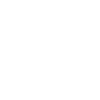 Secondary Display(Optional)