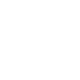 Magnetic Stripe